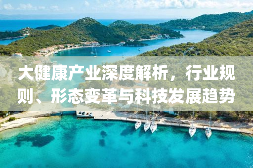 大健康產(chǎn)業(yè)深度解析，行業(yè)規(guī)則、形態(tài)變革與科技發(fā)展趨勢